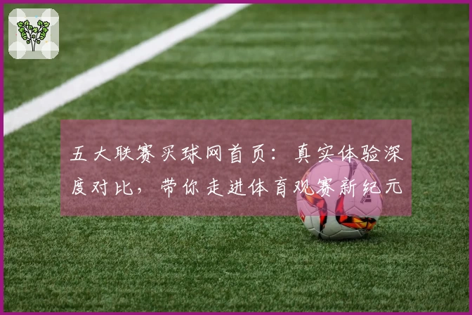 五大联赛买球网首页：真实体验深度对比，带你走进体育观赛新纪元