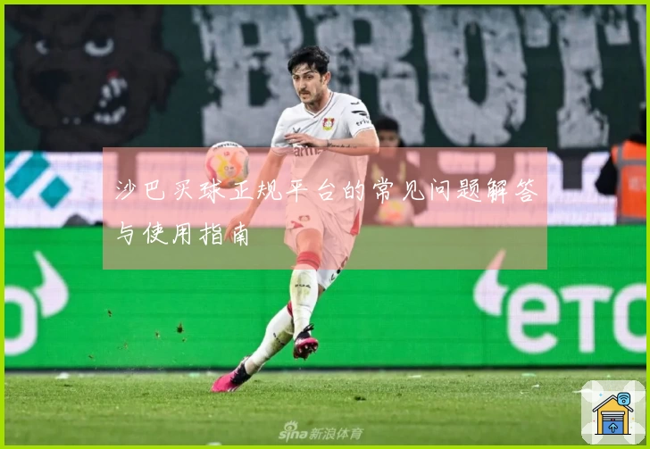 沙巴买球正规平台的常见问题解答与使用指南