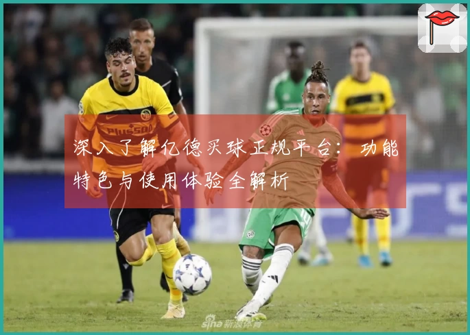 深入了解亿德买球正规平台：功能特色与使用体验全解析