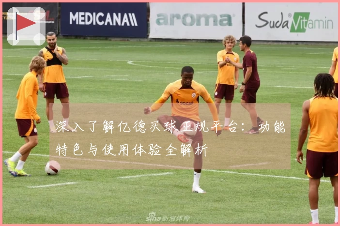深入了解亿德买球正规平台：功能特色与使用体验全解析