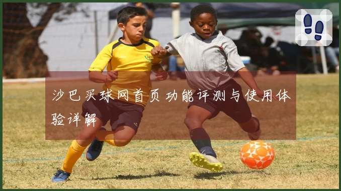 沙巴买球网首页功能评测与使用体验详解